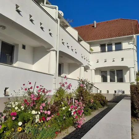 فندق مبيت وإفطار Demizson Panzio Kehidakustány