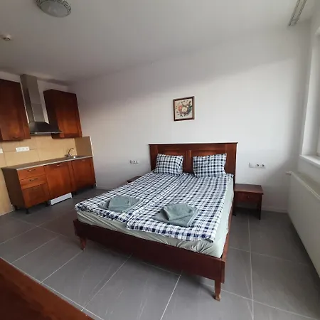 Demizson Panzio 3* Kehidakustány