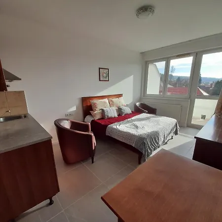 فندق مبيت وإفطار Demizson Panzio